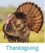 Thanksgiving